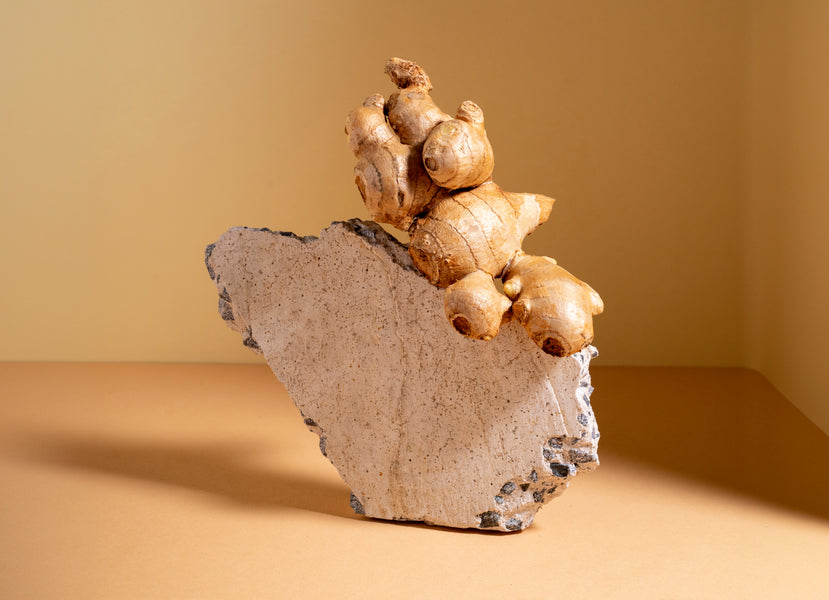 True Magic of Ginseng Extract: Nature's Hidden Gem