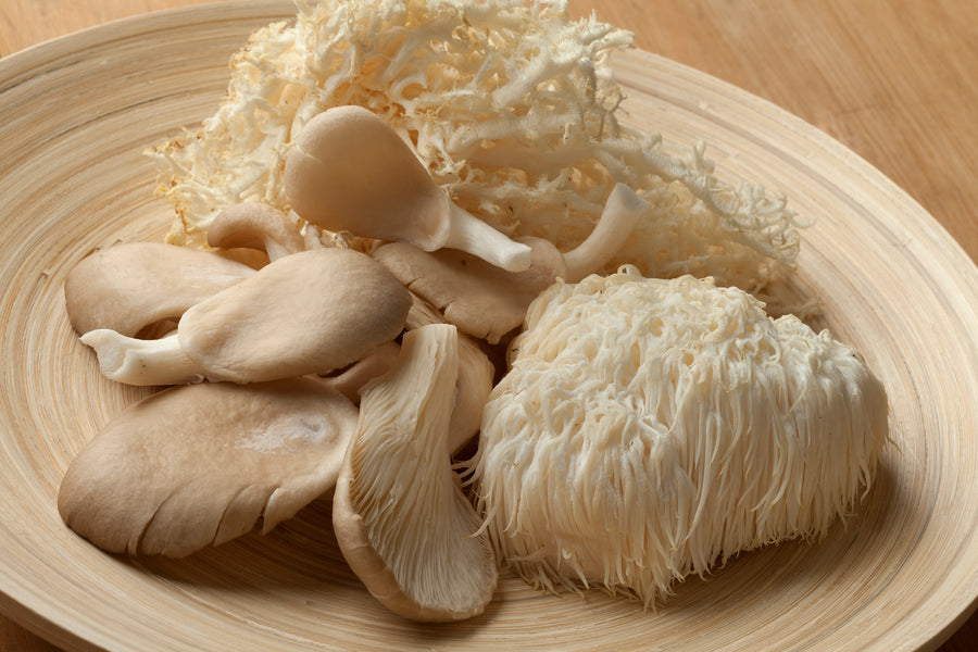 Elevate Your Morning Brew: Lion's Mane Extract in Nutrilic Mushroom Coffee