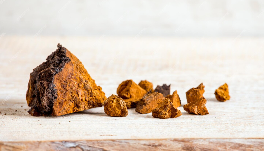 Unlocking the Potential of Chaga Mushroom Extract: A Natural Wonder