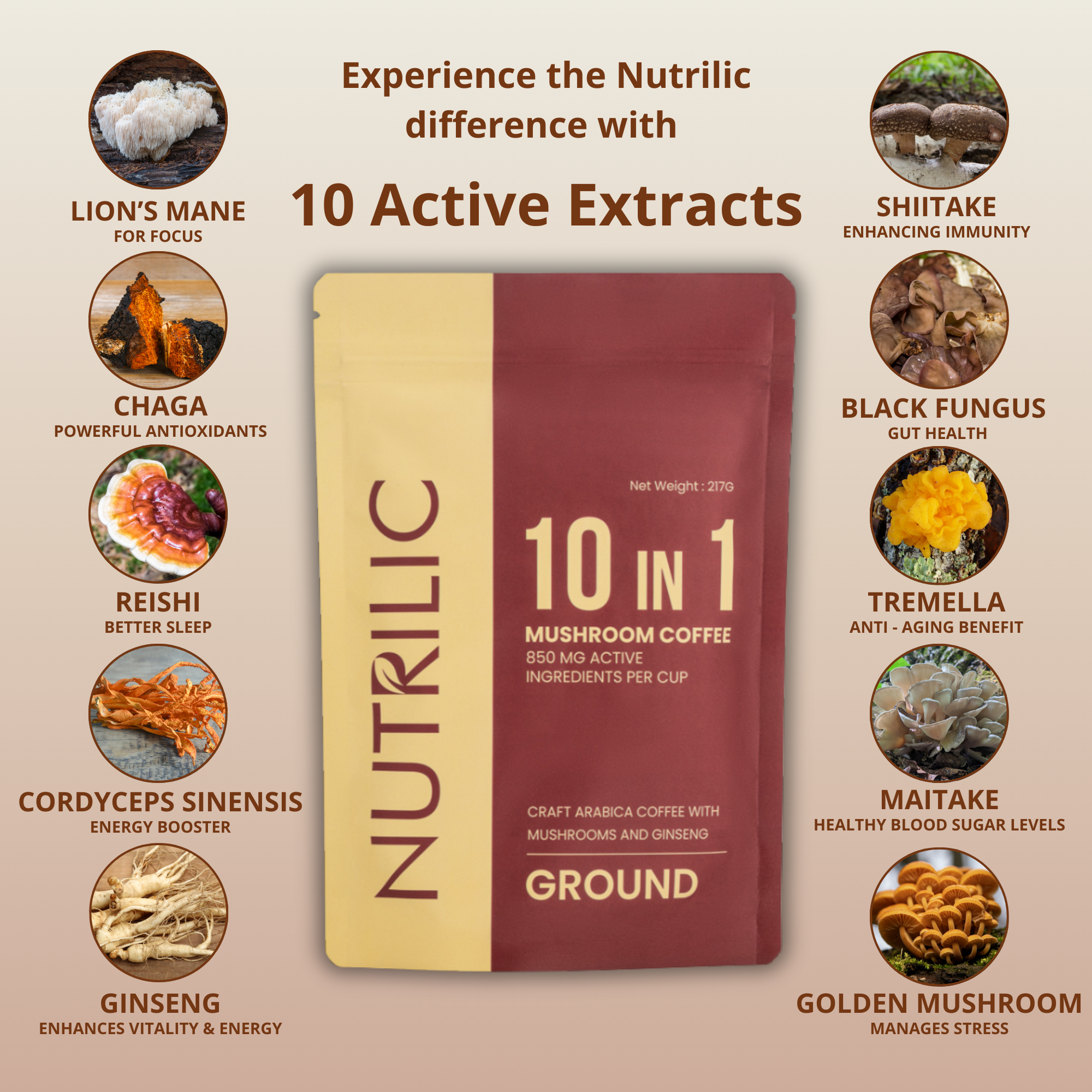 10 MUSHROOM KRAFT COFFEE - Ground